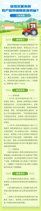 自然災害來襲，農(nóng)戶如何保障自身權益？